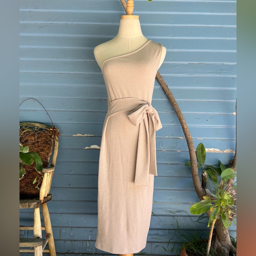 Vici Tan Asymmetrical Tie Front Cocktail Dress